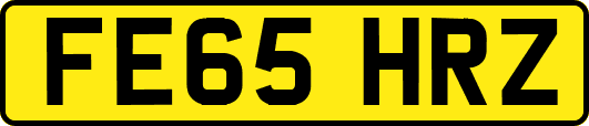 FE65HRZ