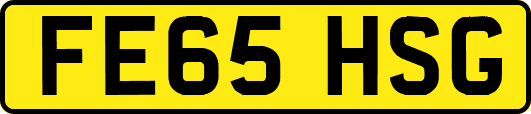 FE65HSG