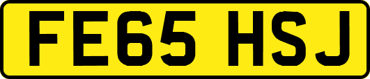 FE65HSJ