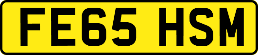 FE65HSM