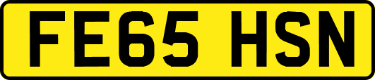 FE65HSN