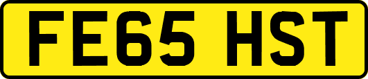 FE65HST