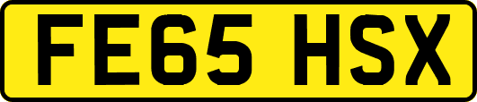 FE65HSX