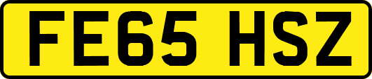 FE65HSZ