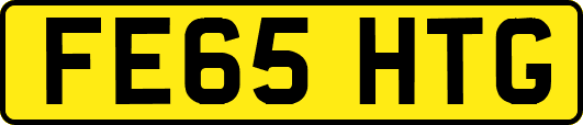 FE65HTG