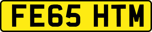 FE65HTM