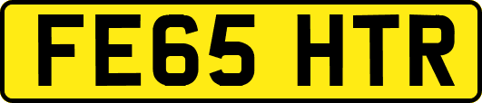 FE65HTR