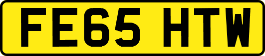 FE65HTW