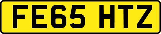 FE65HTZ