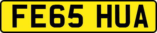 FE65HUA