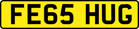 FE65HUG