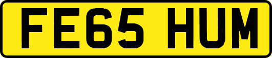 FE65HUM