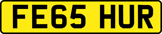 FE65HUR