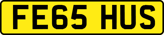 FE65HUS