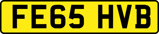 FE65HVB