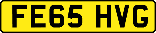 FE65HVG
