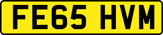 FE65HVM