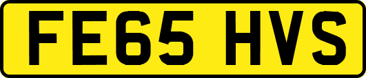 FE65HVS