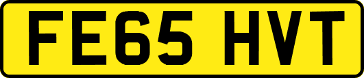 FE65HVT