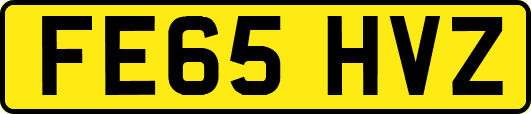FE65HVZ
