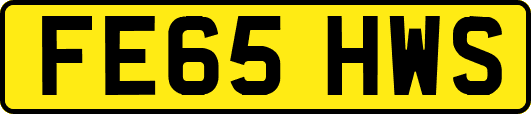 FE65HWS