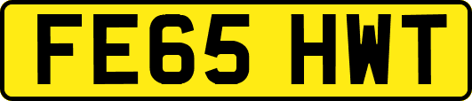 FE65HWT