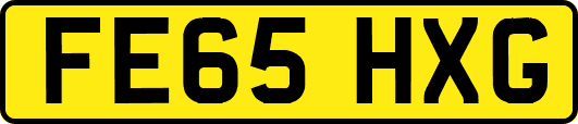 FE65HXG