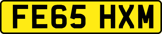 FE65HXM