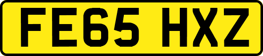FE65HXZ