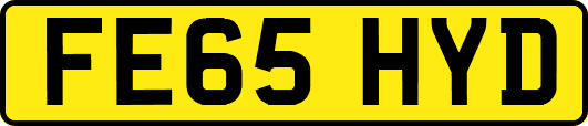 FE65HYD