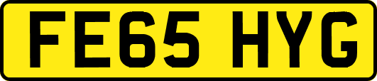 FE65HYG
