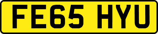 FE65HYU