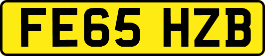 FE65HZB
