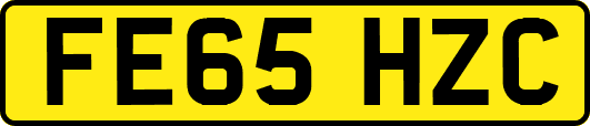 FE65HZC