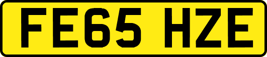 FE65HZE