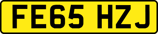 FE65HZJ