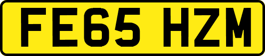 FE65HZM