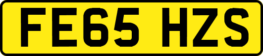 FE65HZS