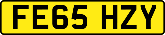 FE65HZY