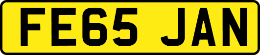 FE65JAN