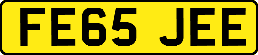 FE65JEE