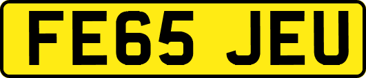 FE65JEU