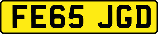 FE65JGD