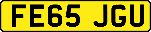 FE65JGU