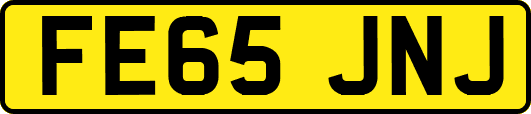FE65JNJ