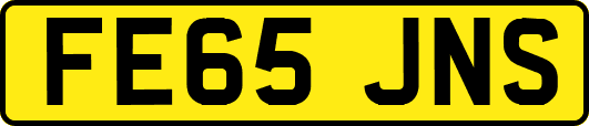 FE65JNS