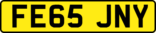 FE65JNY