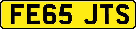 FE65JTS