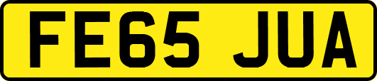 FE65JUA