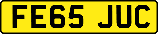 FE65JUC